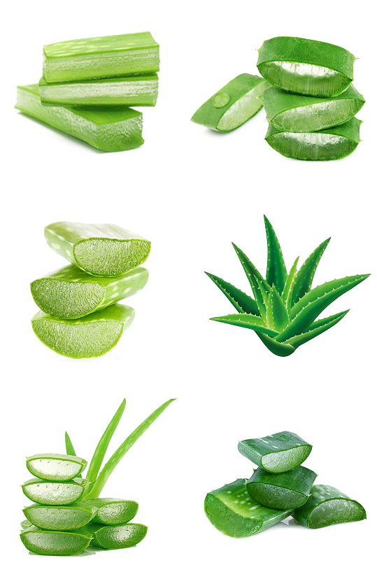 芦荟胶护肤素材芦荟