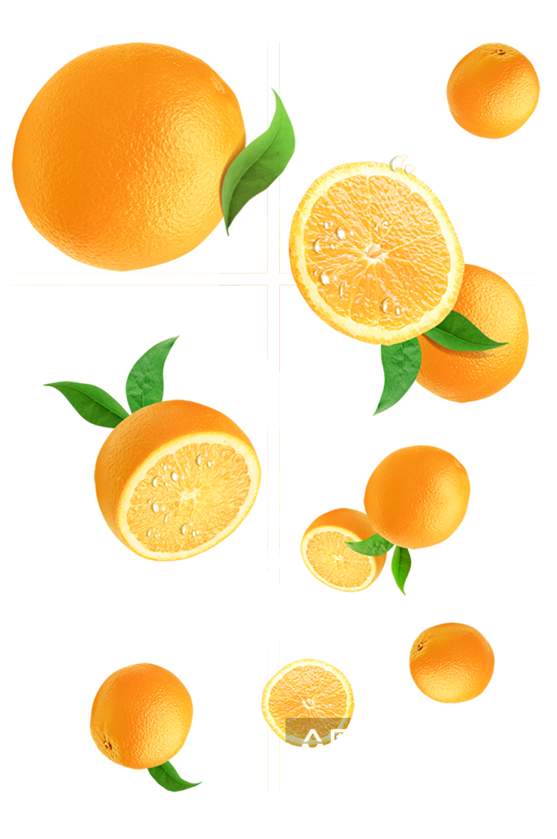 橙子柚子橘子水果素材