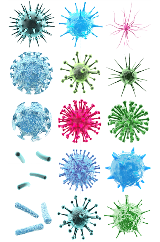 疫情细菌生物研究