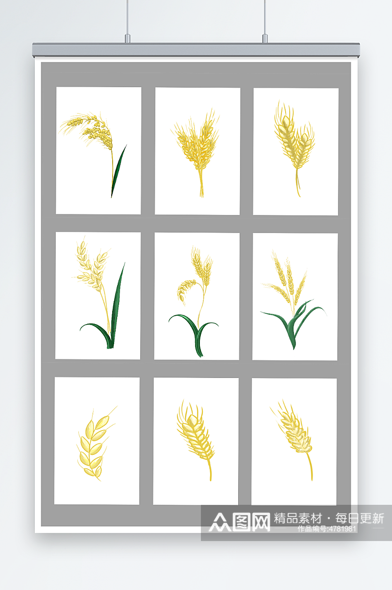 手绘风稻谷小麦农作物稻谷小麦元素插画素材
