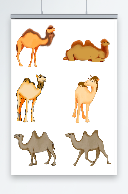 手绘骆驼可爱卡通简约水彩风格创意