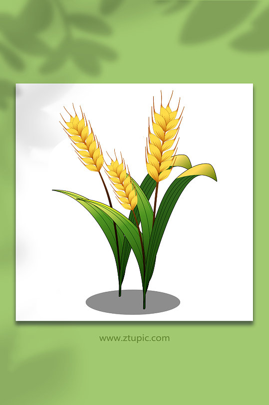 手绘粮食大米包装元素插画