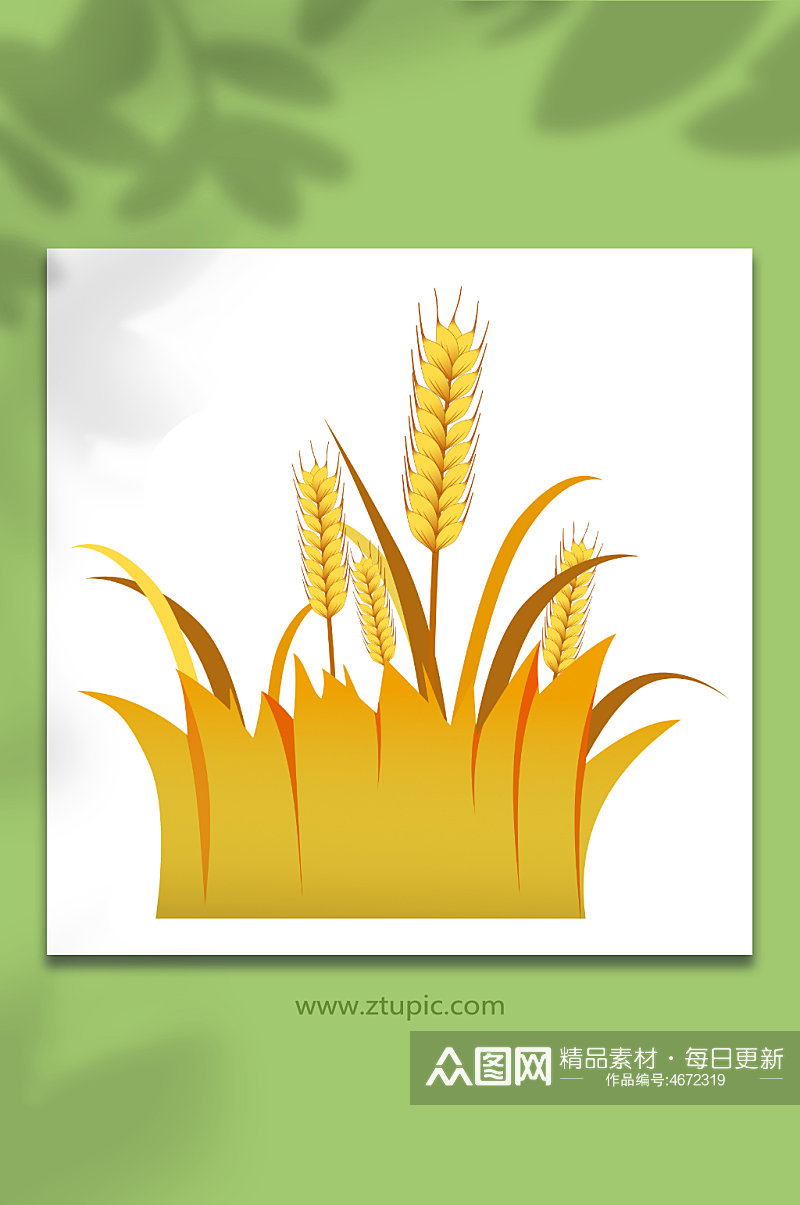 水稻小麦丰收金黄秋天大米包装麦穗元素插画素材