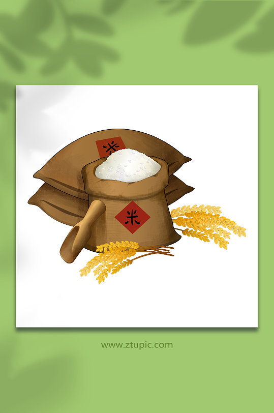 丰收水稻稻谷米粒木勺手绘大米包装元素插画