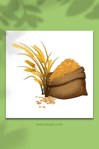 秋季麦穗水稻丰收谷粒麻袋谷堆粮食大米包装元素插画