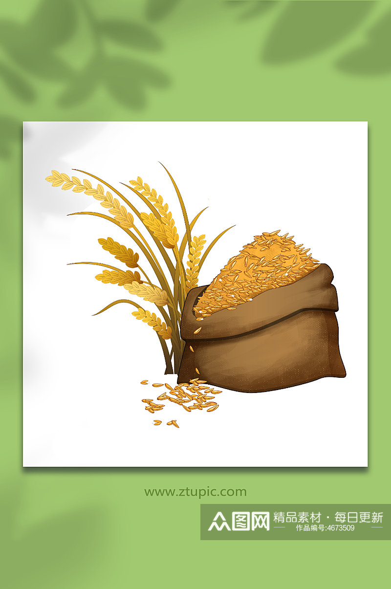 秋季麦穗水稻丰收谷粒麻袋谷堆粮食大米包装元素插画素材