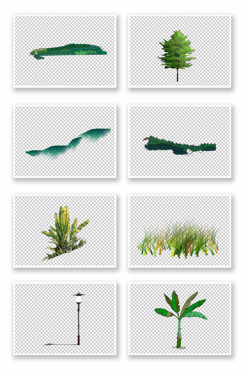 园林绿植免抠素材13素材