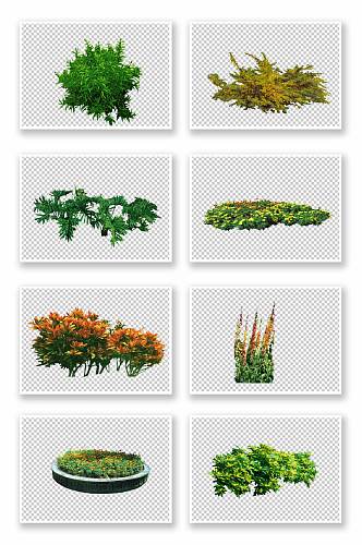 园林花蕊植物免抠元素8