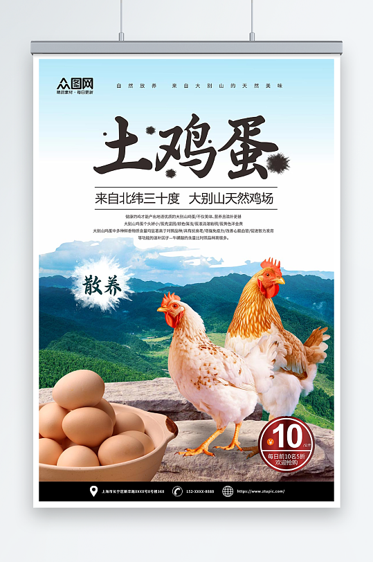 绿色农家土鸡蛋宣传海报-众图网