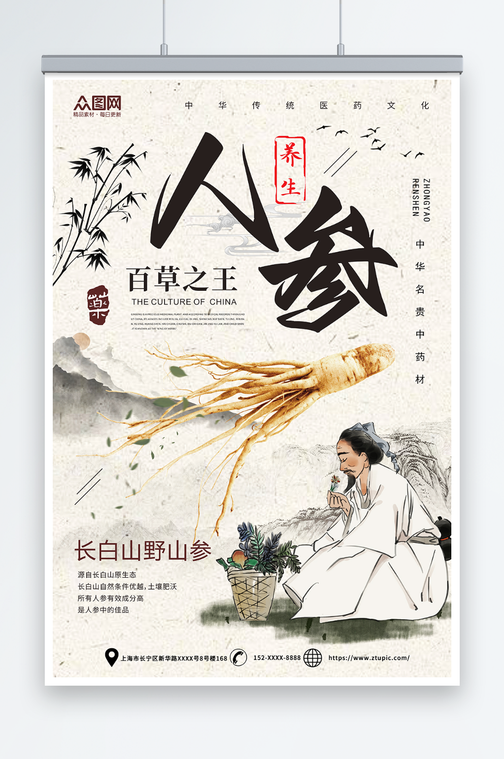 中国风中药药材人参海报素材