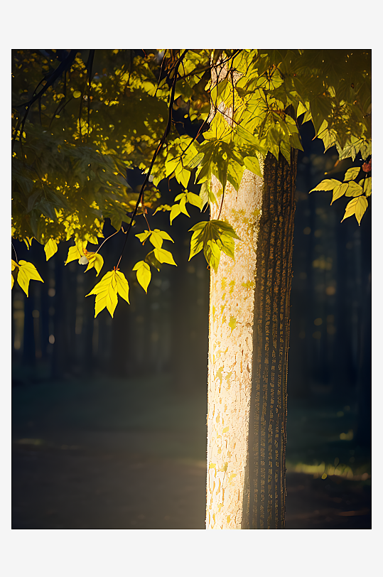 摄影风黄昏阳光照射的枝叶AI数字艺术