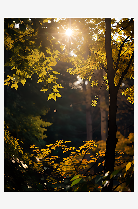 AI数字艺术摄影风黄昏阳光照射的枝叶