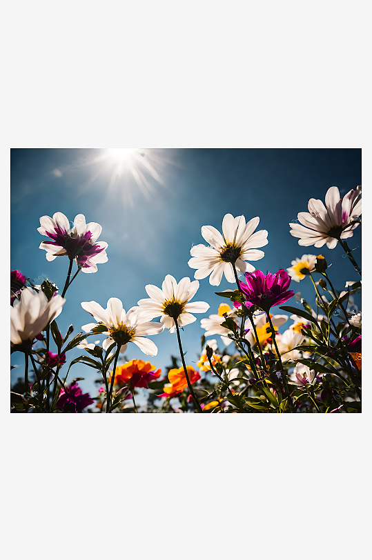 摄影风阳光下绽放的花朵AI数字艺术