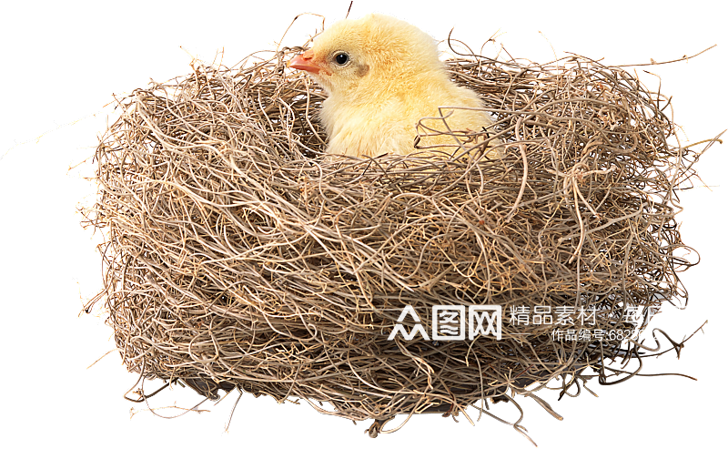 鸟巢免抠素材元素素材