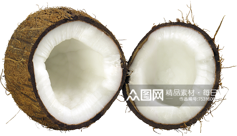 椰子免抠元素素材素材