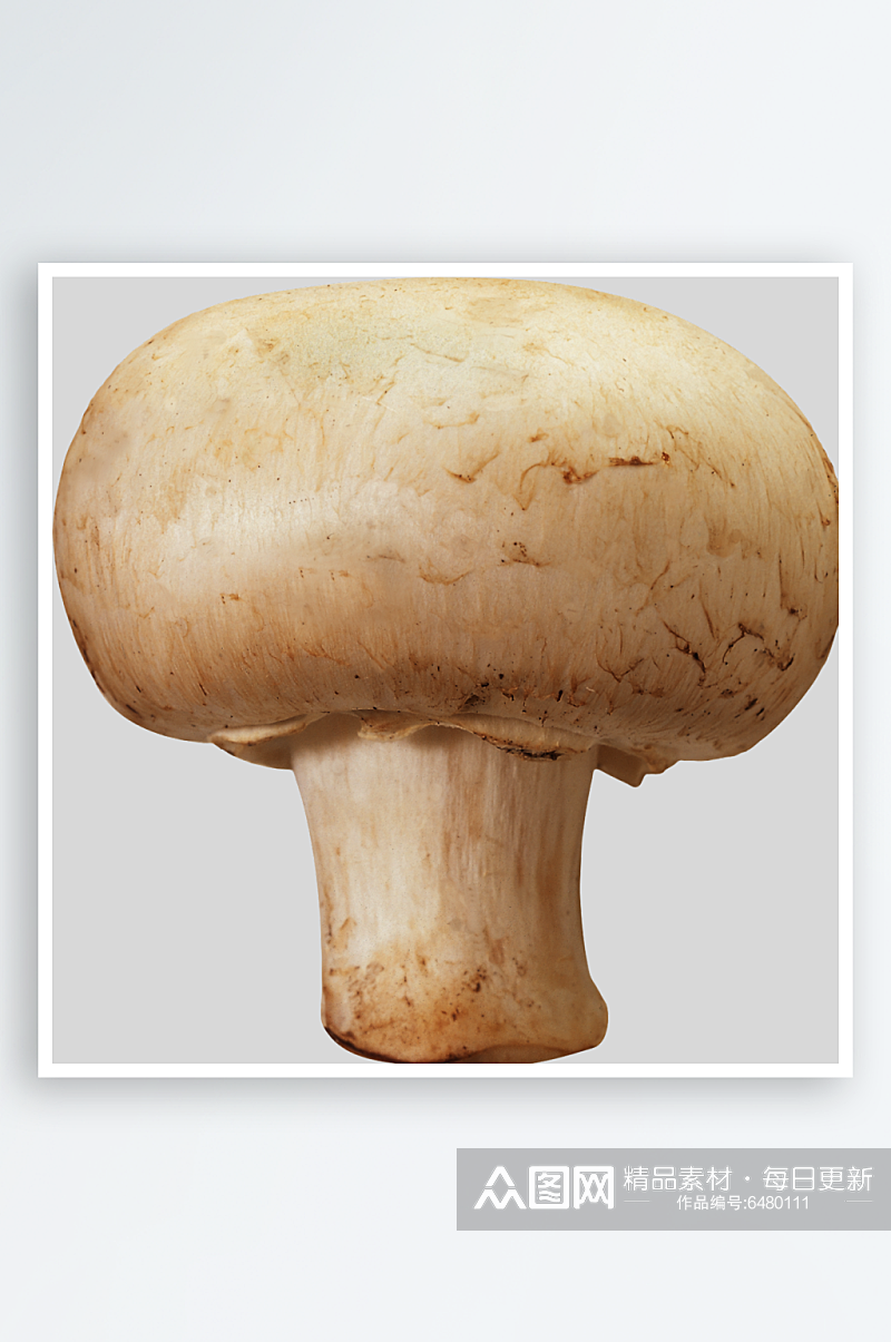 蘑菇自然免抠元素素材