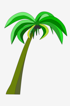 棕榈树免抠背景元素