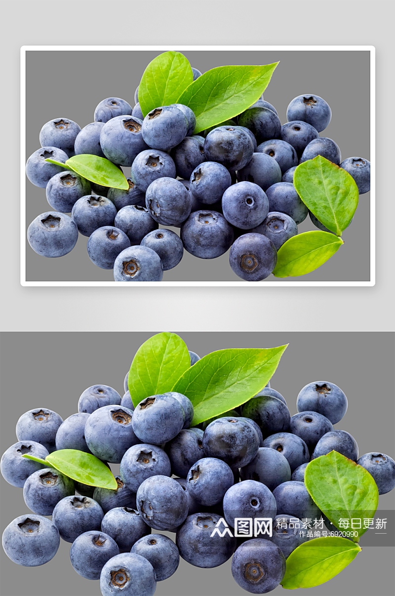 蓝莓水果免抠素材素材