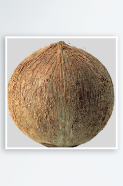 椰子免抠图片元素