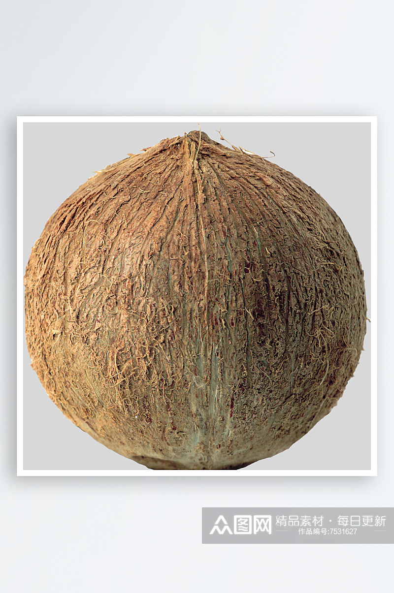 椰子免抠图片元素素材