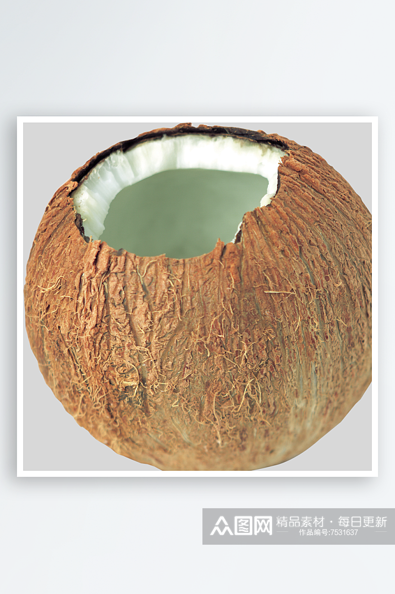 椰子免抠图片元素素材