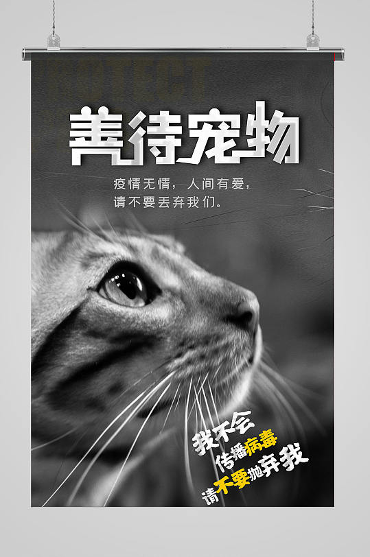 善待宠物海报