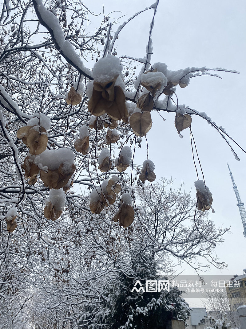 自然风景冬季雪景素材