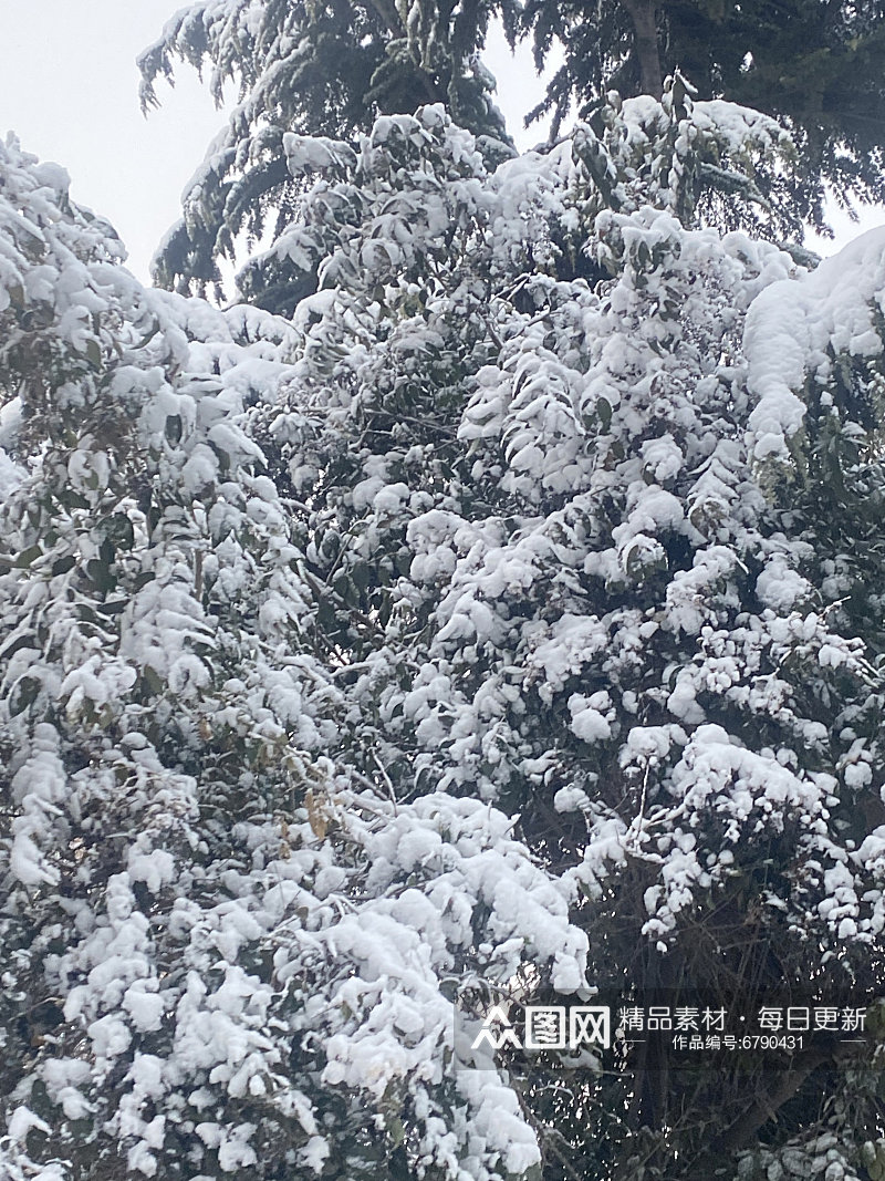 自然风景冬季雪景素材