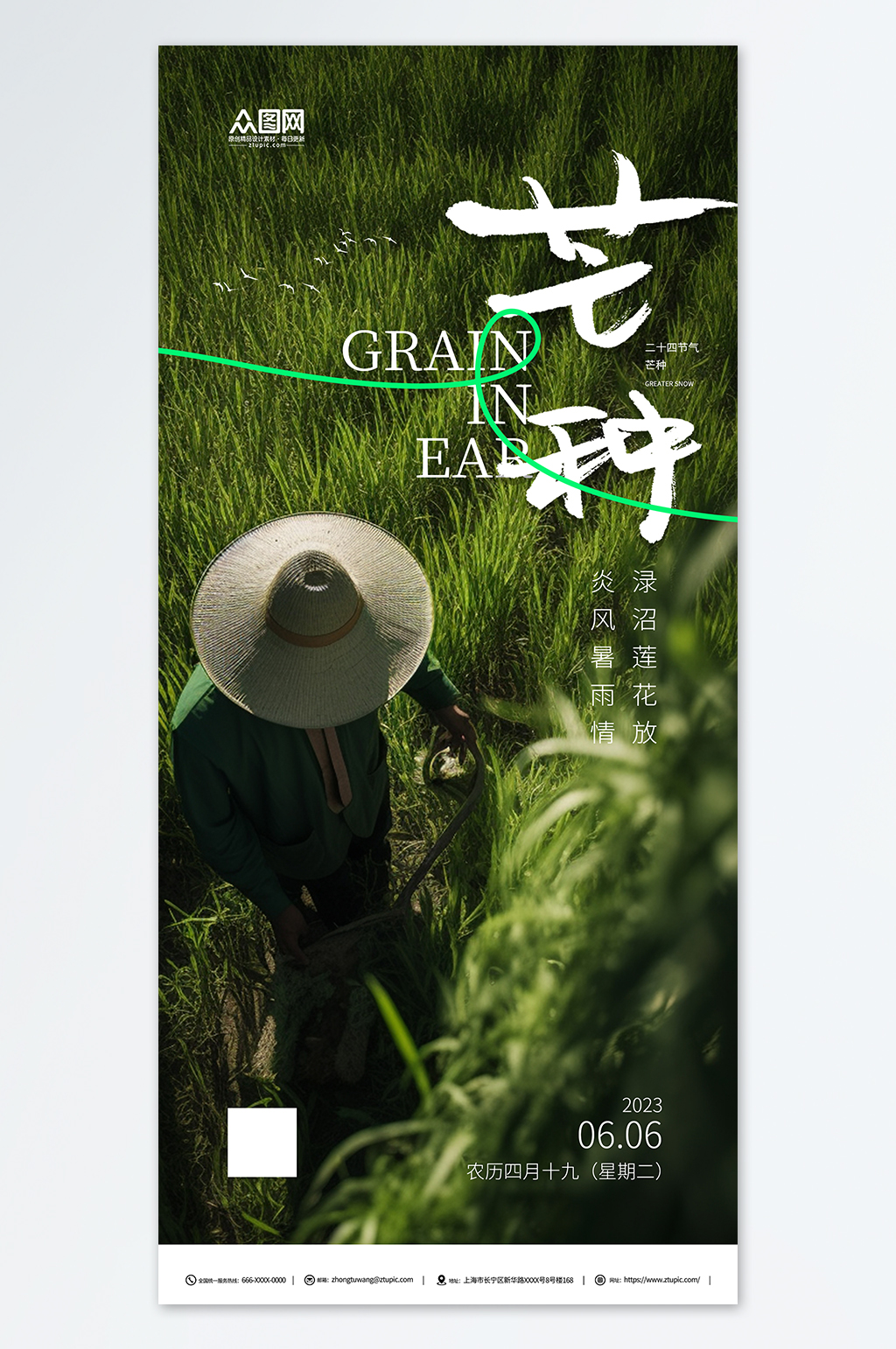 高级简约二十四节气芒种海报素材