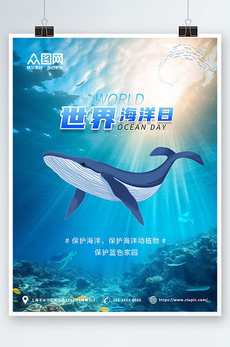 蓝色世界海洋日保护海洋动物海报