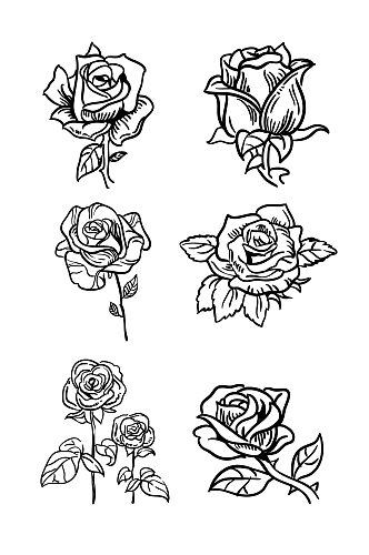玫瑰纹身图案插画手稿