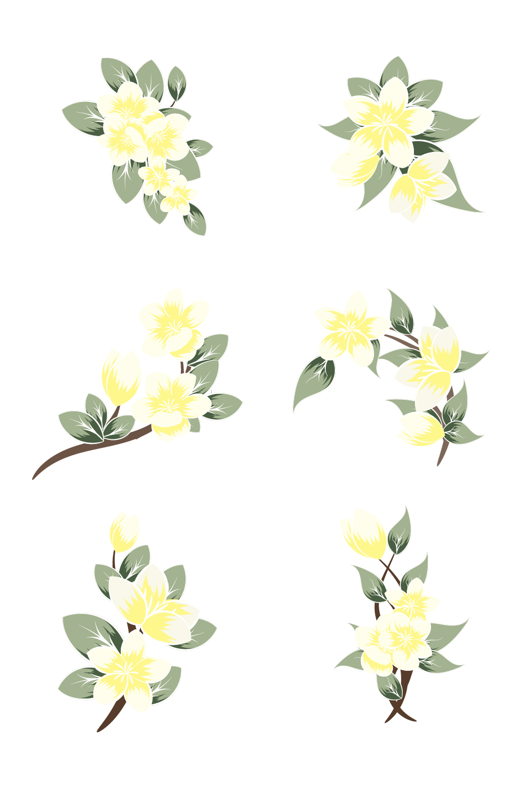 春天夏天前景白色花绿色叶子手绘插画素材