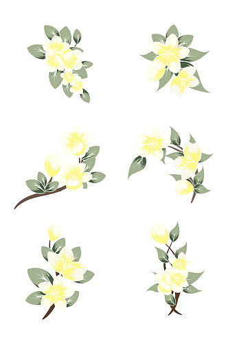 春天夏天前景白色花绿色叶子手绘插画