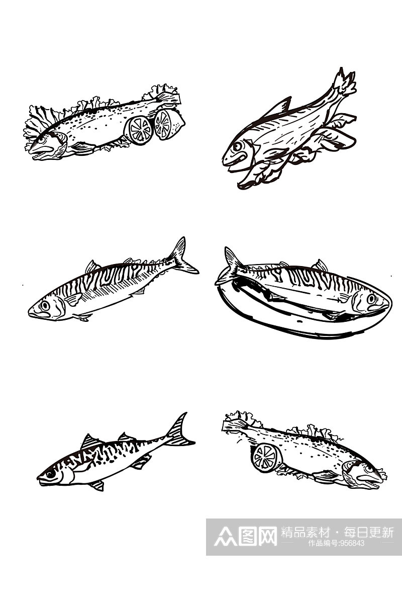 咸鱼烤鱼鱼素描线稿手绘素材