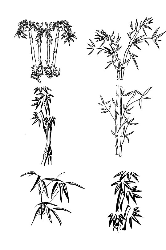 竹竿竹林手绘墨稿