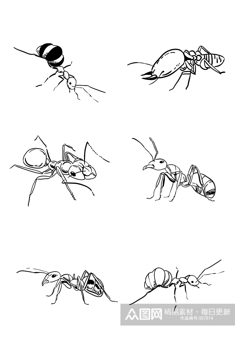 卡通蚂蚁手绘线描蚂蚁素材