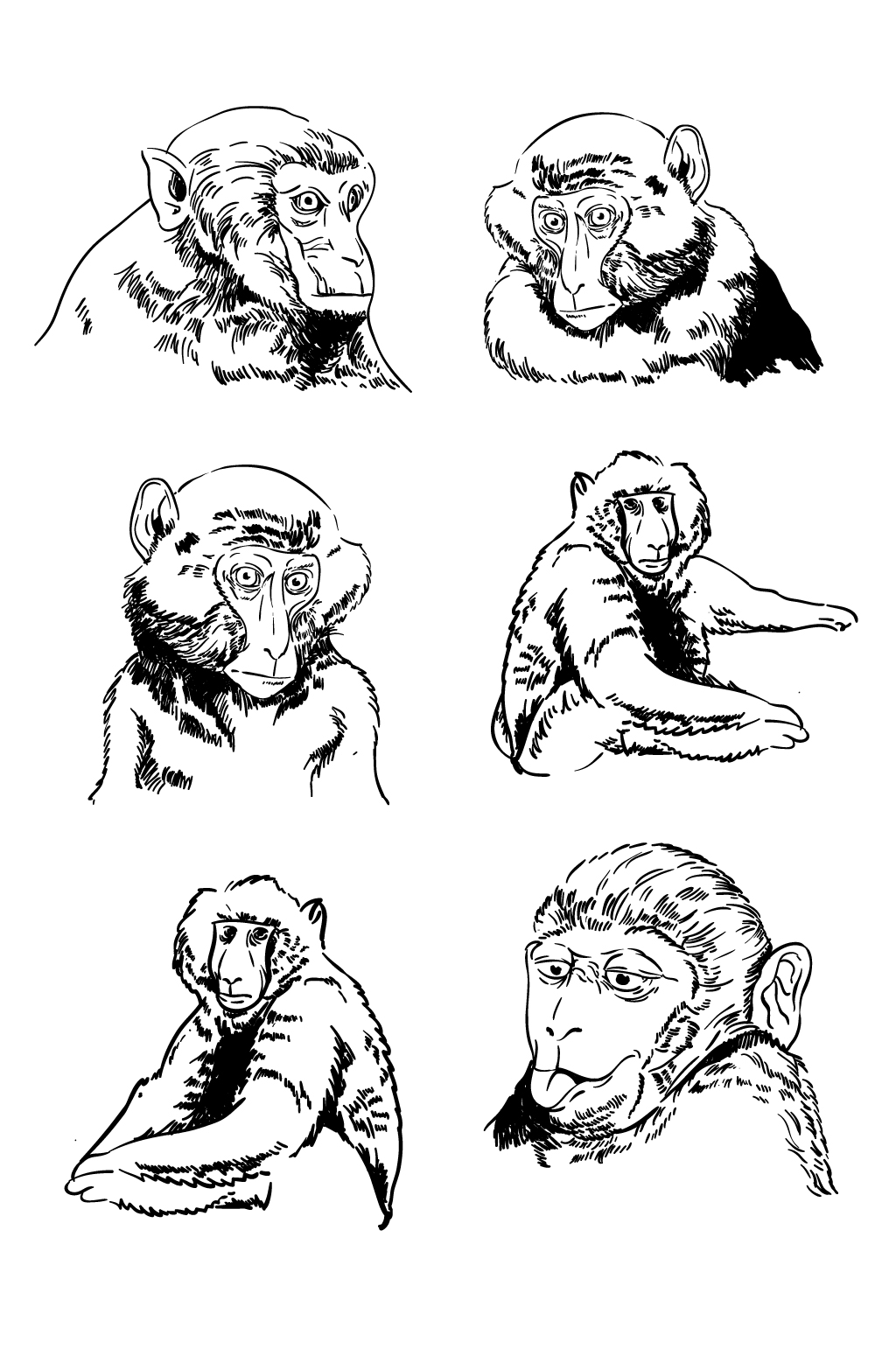 猴子线描画图片大全图片