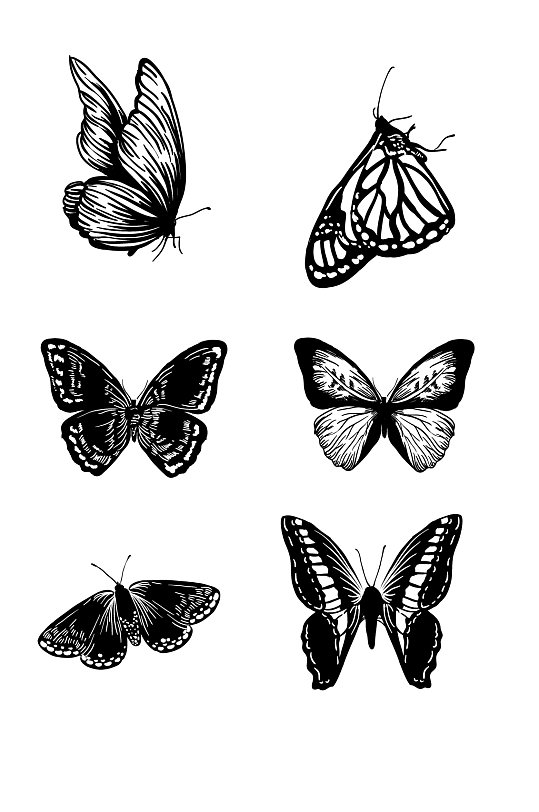 蝴蝶素材手绘图案