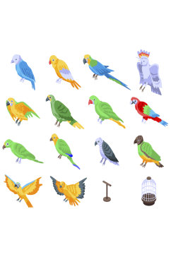 彩色鹦鹉动物图标