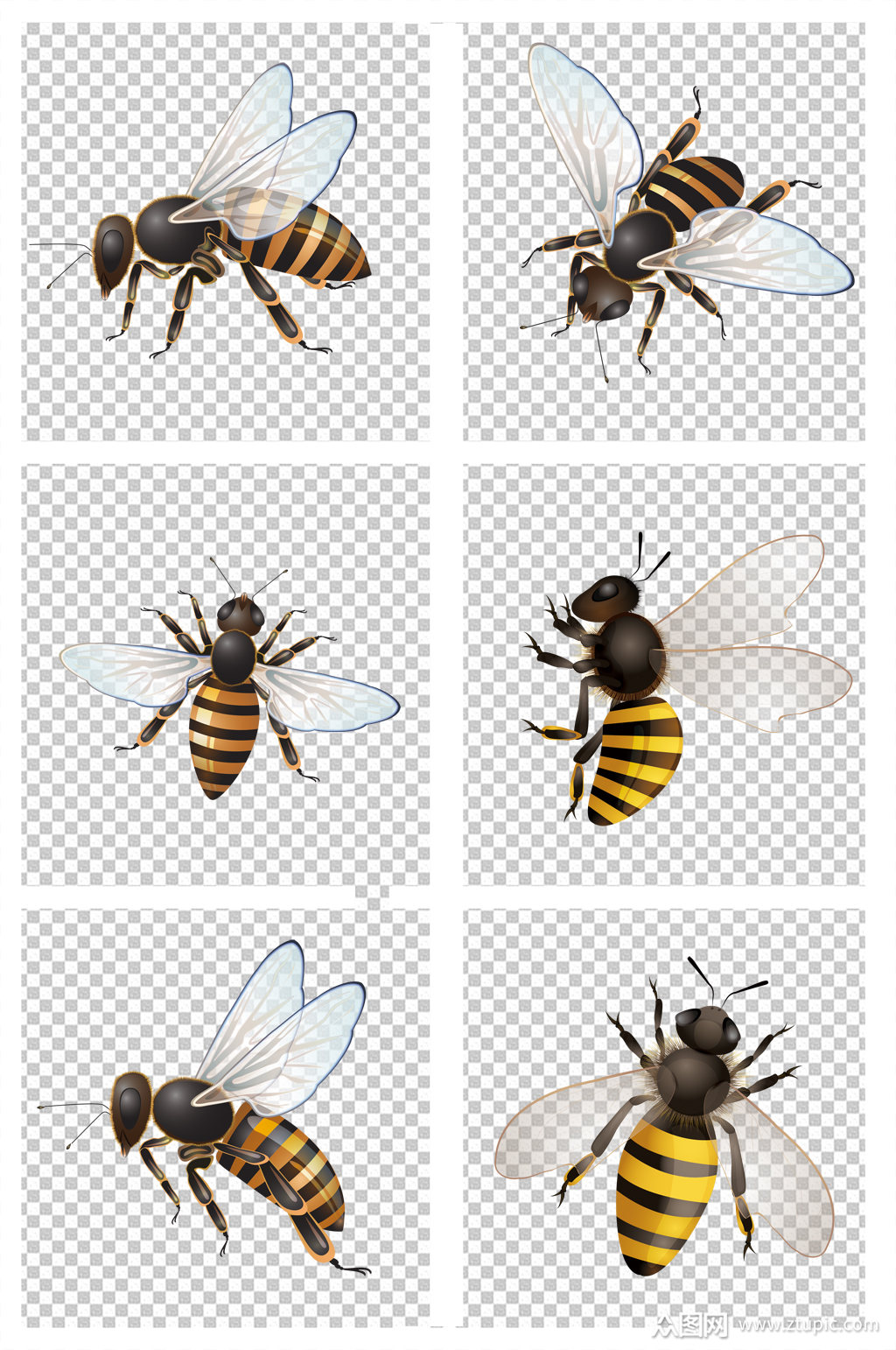 卡通飞翔的蜜蜂装饰图案素材