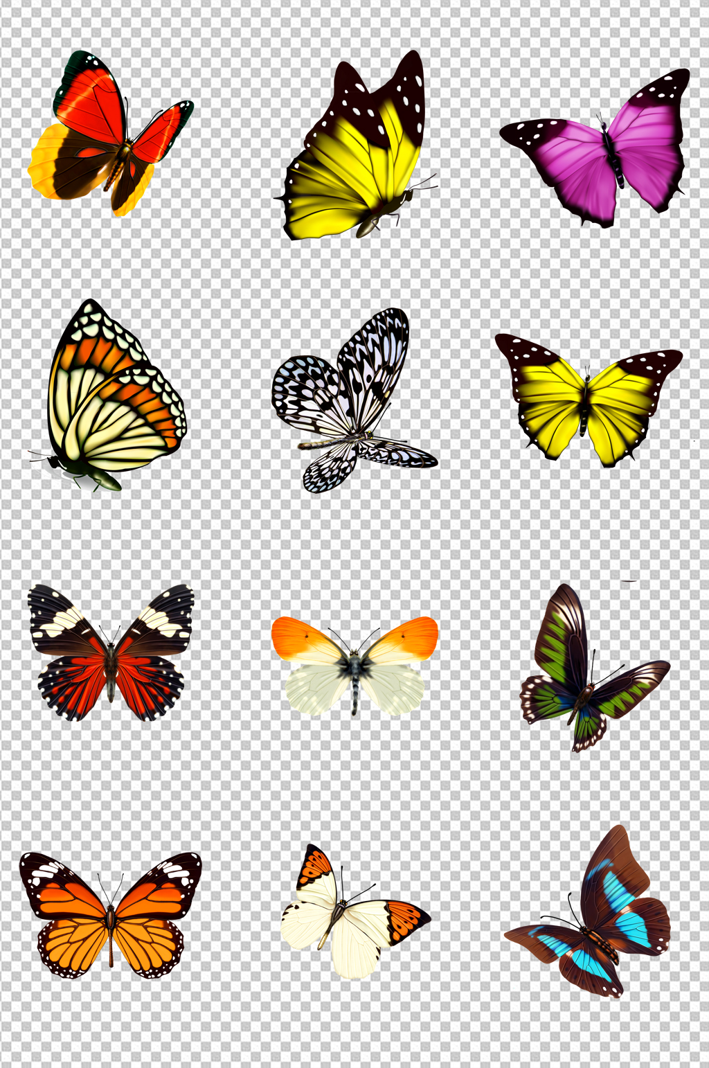 多姿多彩蝴蝶素材 设计元素素材下载 众图网