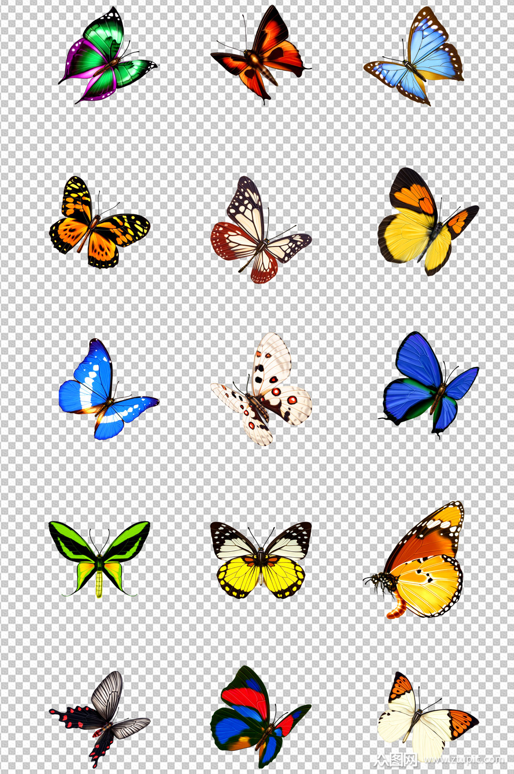 单个昆虫蝴蝶飞舞素材