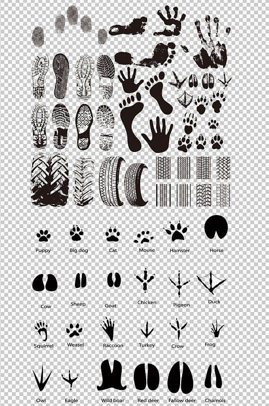 动物脚印轮胎足迹牛蹄印