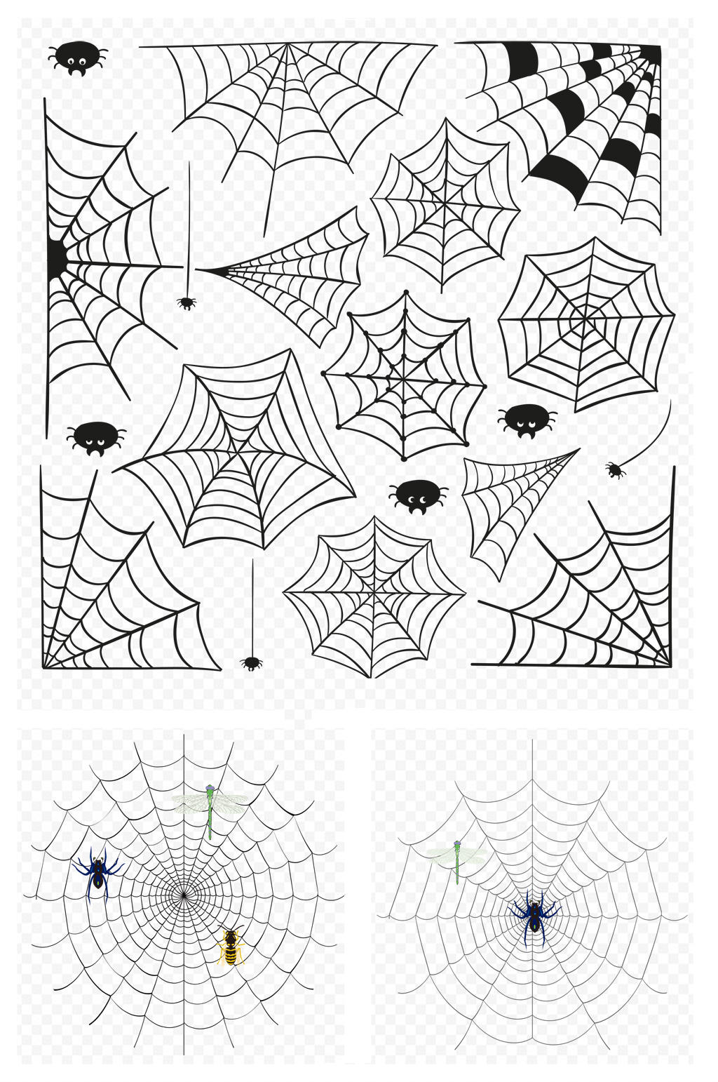 蜘蛛网线条昆虫素材