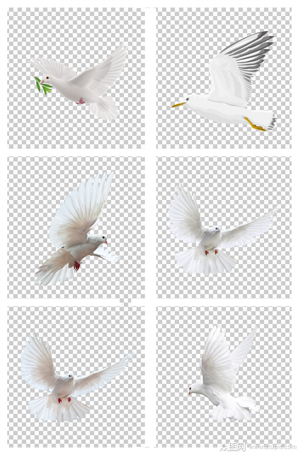 鸽子和平鸽动物素材模板下载-编号339110-众图网