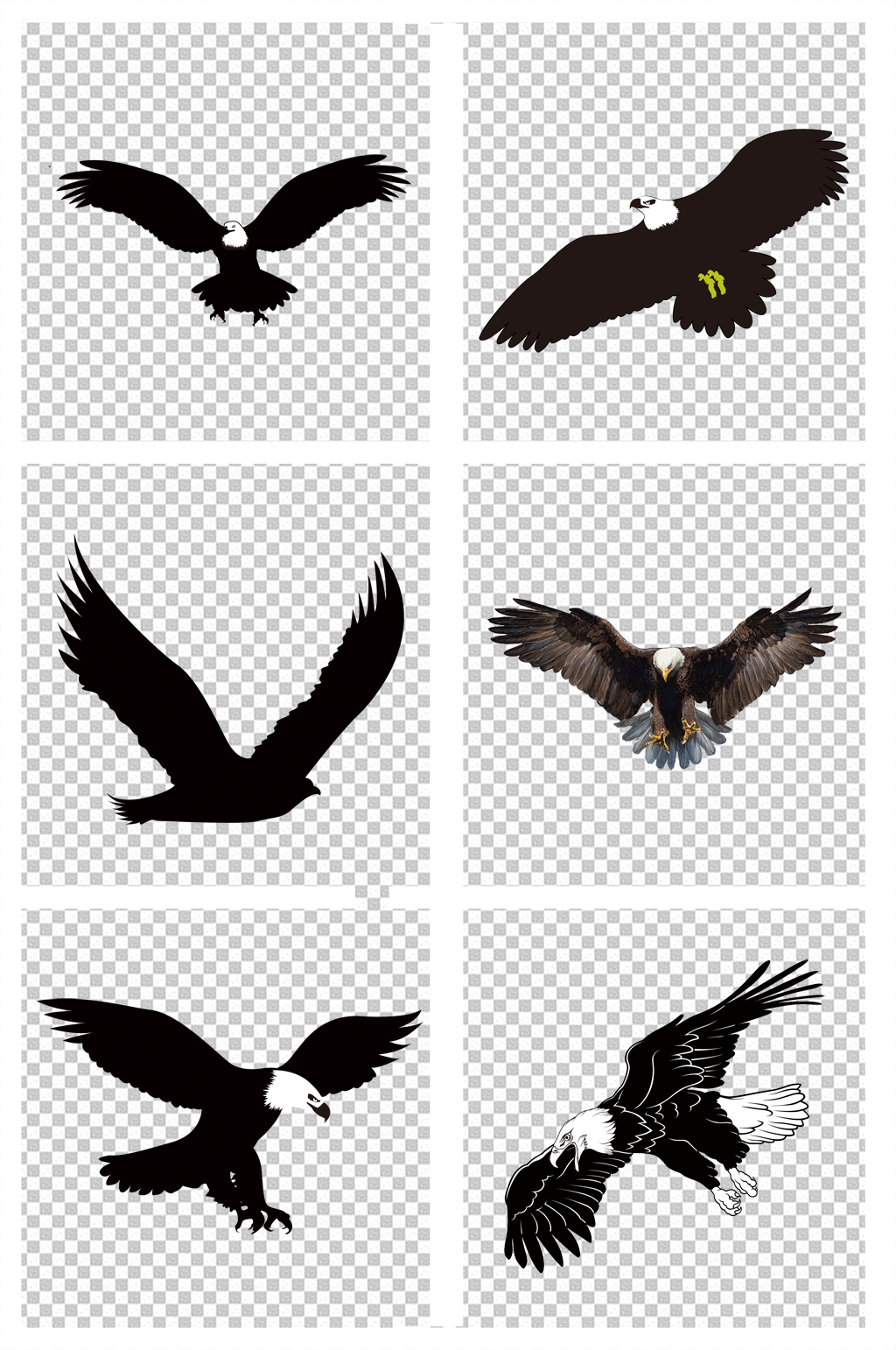 飞翔的老鹰素材图片