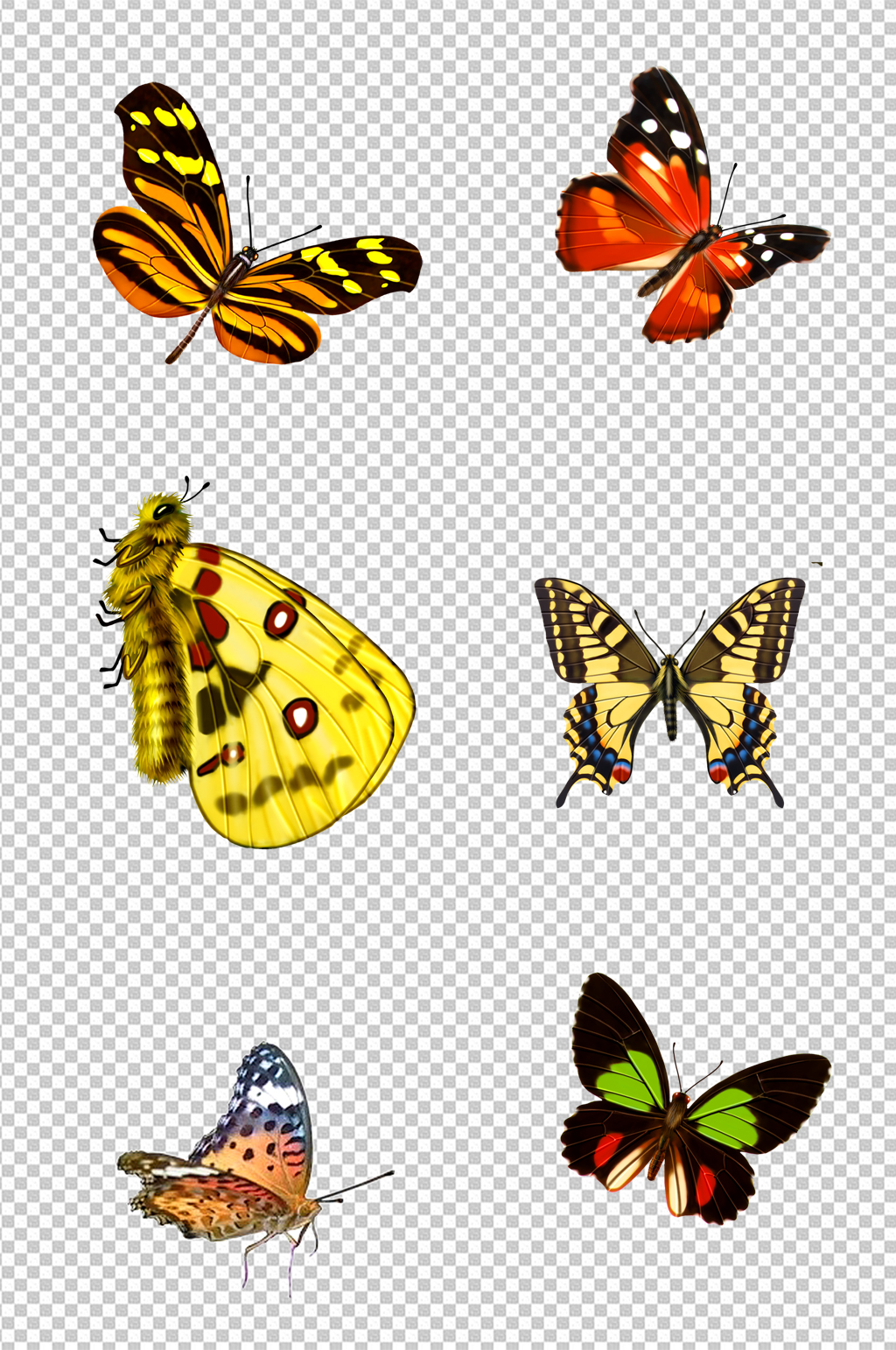 炫彩飞舞蝴蝶素材 设计元素素材下载 众图网