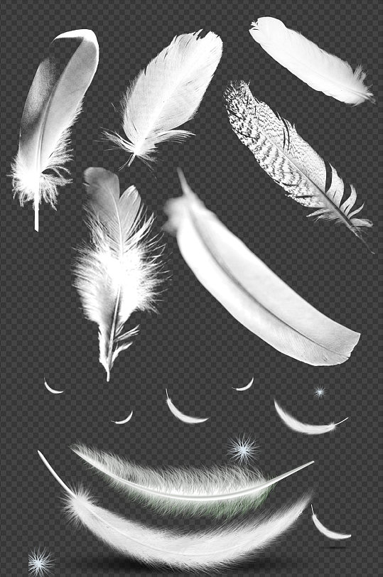 白色羽毛素材元素图片