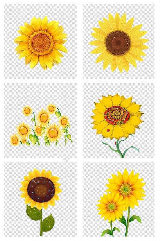 手绘向日葵图片 手绘向日葵素材下载 众图网