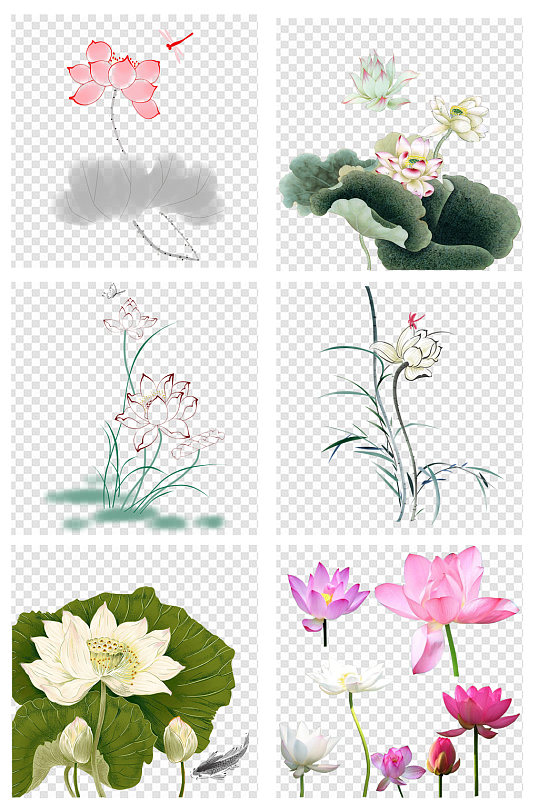 国画荷花水墨画素材